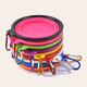 Collapsible Dog Travel Bowl